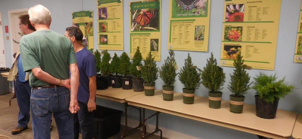 Looking Back: September Meeting Working with Evergreen Coniferous Bonsai Our September meeting was a hands-on workshop, with a little lecture/demo, on the subject of designing evergreen coniferous
