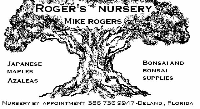 Bonsai Resources Roger s Nursery 386-736-9947 or 386-747-4384 www.mikerogersbonsaistudio.com mike@mikerogersbonsaistudio.
