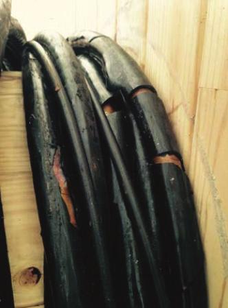 Example of 350 kcmil Cu EPR 15 kv cable damaged by steam.