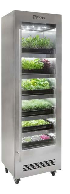 Introduction The Evogro Plant Growing System makes it easy to grow your own perfect microgreens, salad leaves and herbs.