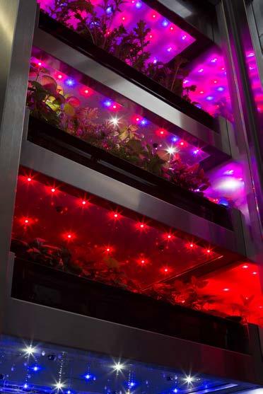 Efficient LED Lighting optimized for every crop Advanced Horticultural LEDs Specific Wavelengths for plant growth Strong in red & blue spectrum so looks pink Up to 75% energy savings vs fluorescent