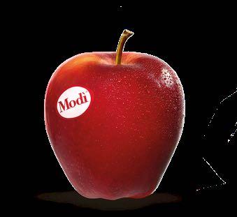 2015 NC-140 Modi Organic Apple Rootstock Trial Sites: CA, CO, IA, ID, MA, MI, NM, NS, NY-Ithaca,