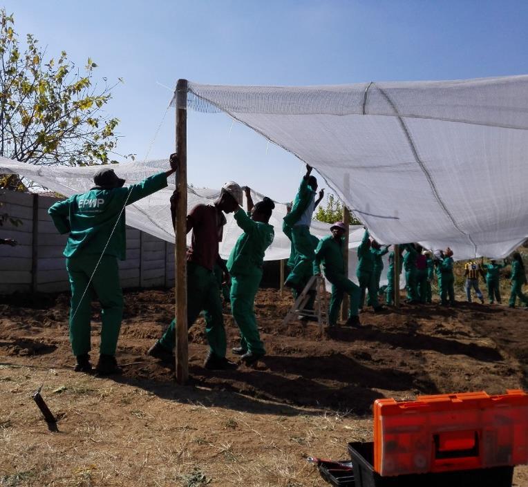 Picture Left: The team adds the grey 40% titanium weave shade-net. Either grey or black are the preferred colours for growing vegetables.