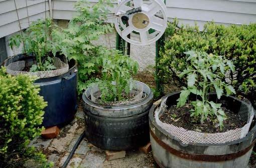 Container Gardens Use a