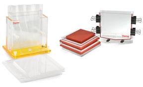 Maximizing Productivity for Every Lab, Every Day P10-18G Offset glass 20cmL 18cmW 1 / 8 thickness Thermo Scientific* Owl* P10-Series Vertical Electrophoresis System Accessories Gel casters for use