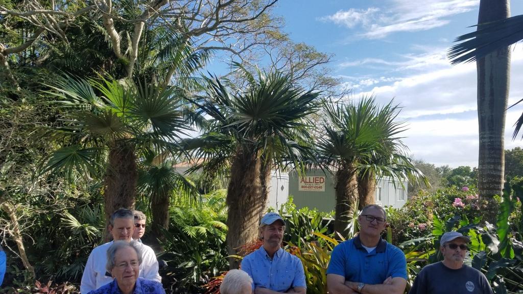 bunch of old men (palms)