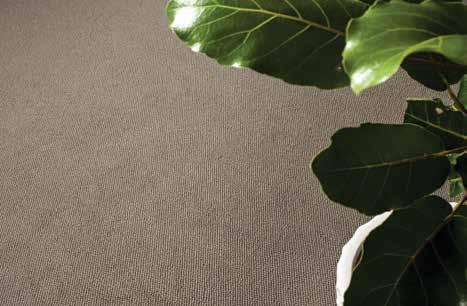 WOOL CARPET FOR ALL SEASONS CARING FOR YOUR CARPET The Natural Choice Regular Vacuuming 4 SELECTING YOUR CARPET When investing in a new carpet, it is important to consider several factors.