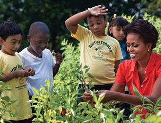 How It All Started Working in gardens with children has taken on many titles. From Seed to Plate, Gardening with Children, and Farm to Childcare.
