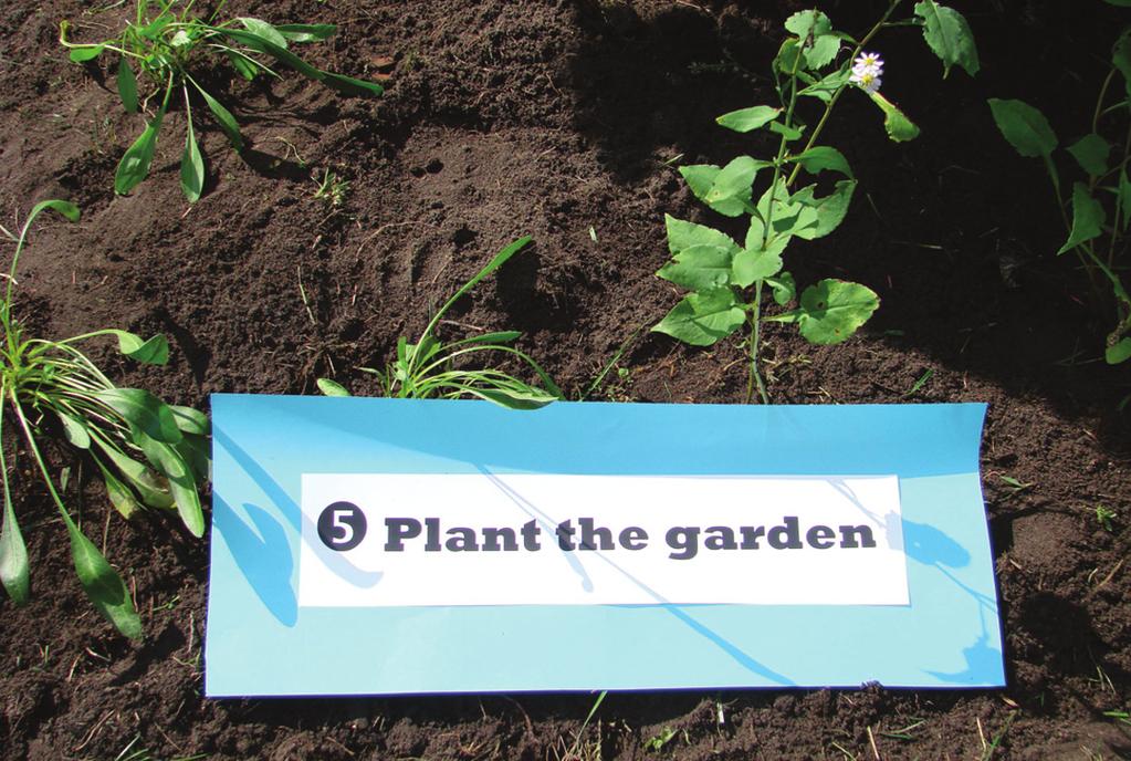 5 Plant the Garden Spring or fall is the best time to plant the garden. Planting in summer is fine as long as the young plants are watered regularly.