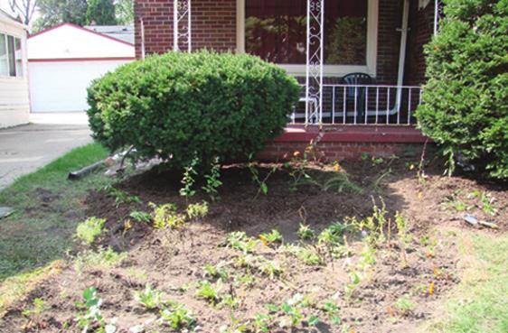 Roughly 2 cubic yards of compost and 1 cubic yard of sharp sand is needed for 100 sq. ft. of garden at 12 inches deep.
