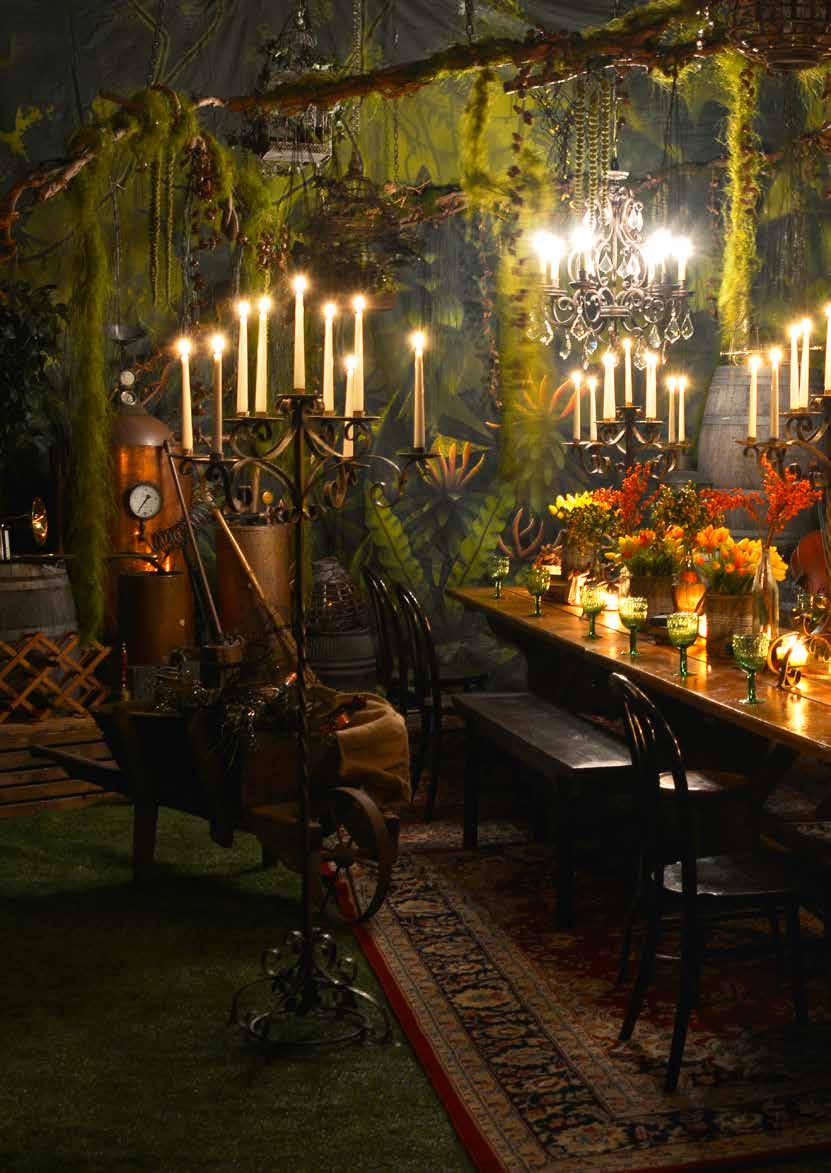 Rustic Banquet Begin with an eclectic mix of event decor and props styled against enchanting forest backdrops, to create a realm far from the city lights deep within the forest.