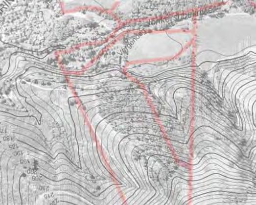 1980 Chief Director: Surveys & Mapping Vergenoegd foothills, orthophoto showing midslopes covered with trees.