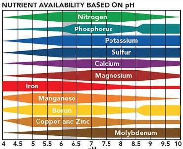 Soil ph Soil ph is an indication of the