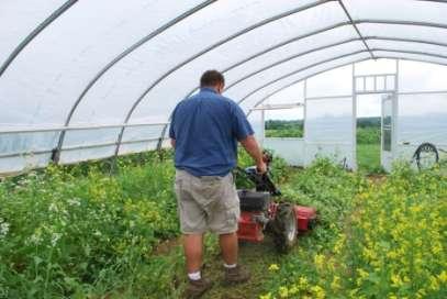Soil Borne Disease Management Tactics Suitable for certified organic farm