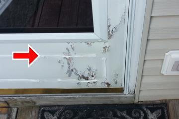 2 Doors (Exterior) Comments: Inspected, Repair or Replace Rear entry storm door is damaged. Recommend correction by a qualified person as needed. 2.