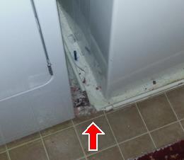 8 Washing Machine Comments: Inspected, Repair or Replace (1) The wash machine was run through a short cycle.