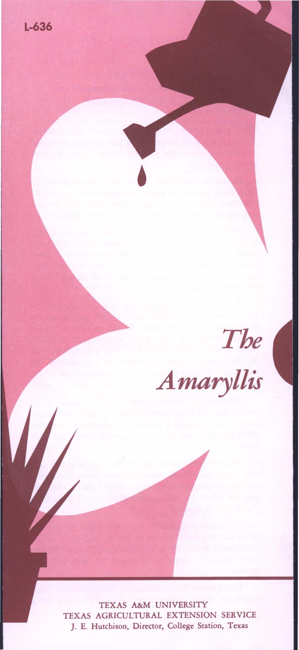 -636 The Amaryllis TEXAS A&M UNIVERSITY TEXAS AGRICULTURAL