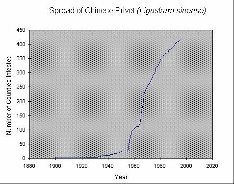 ) Spread of Chinese Privet (Ligustrum sinense) NRCS Website and Potential Spread of Additional Invasive Species Tallowtree The inevitable.