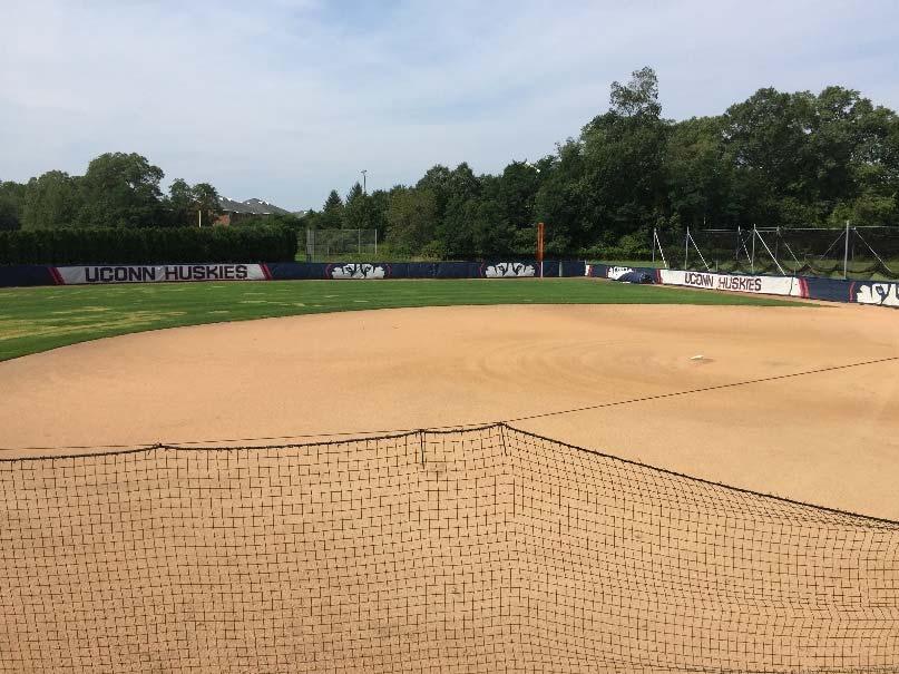 Proposed Project Elements Redevelop softball field: New synthetic turf field with field drainage Full cutoff