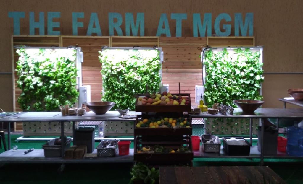 Especially for Hospitality 80 Plant Mini Vertical Garden Full Size Restaurant 325 Plant Vertical Garden Imagine action stations with the farm to plate capability, there is nothing fresher!
