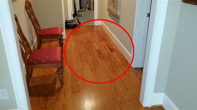 2 FLOORS Visible water stains noted on the wood flooring in the basement