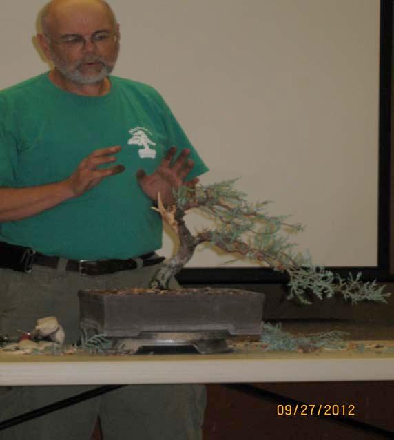 creating quality bonsai. Few trees read the manual and rarely do we find a tree with all the qualities we want so we have to work to create or maximize the five elements.