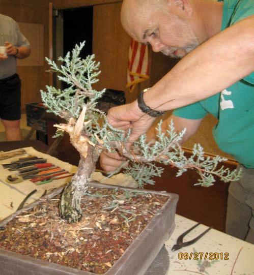gratification bonsai, but now he looks at his trees to see what he needs to do to make it have such value and quality that someone else will want to carry on because our trees will far outlive us.