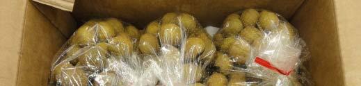 Longan Doses : 0 to 800 Gy Biew