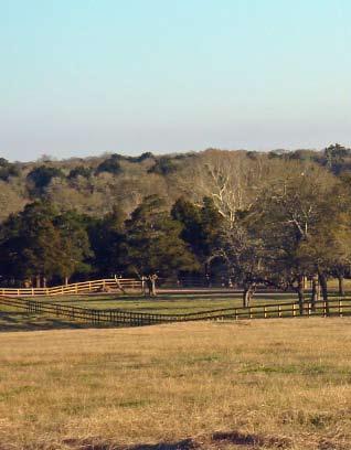 FIRST CLASS ENHANCMENTS FOR FIRST CLASS COUNTRY ESTATE Over 21,000 Feet of New Wood Rail Fence for New Bremen Road Frontage and all Tract Interior Boundaries Bold Native Wildflower and Grass