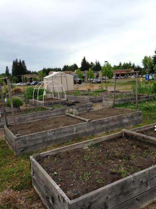 N. Challenges and needs Determining the gardens challenges and needs was accomplished by asking Please list the greatest challenges/limitations to your community garden. What are your needs?