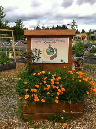 Lacey Crossroads Community Garden Address: 5607 Corporate Center Lane SE, Lacey, WA 98503 Organization: Sustainable South Sound Age of Garden: 6 years Number of Plots: 16 Membership Fee: $50 per year