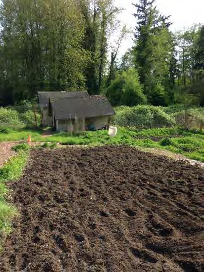 RECOMMENDATIONS The number of community gardens available in Thurston County should be increased in neighborhoods and areas of the county with no or limited access.