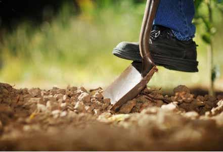 DIGGING SOON? Every digging job requires a call to 811 even small projects like planting trees or shrubs.