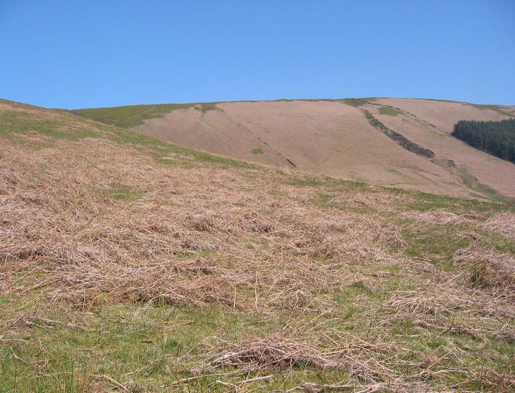 The upper areas of the main transport slope are subject to high rainfall @ > 1200mm pa but the steepness of the slope results in rapid run off and subsequent movement of soil material down slope.