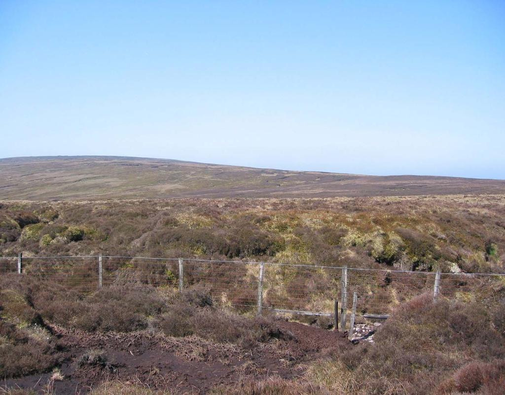 Looking N.West across the Bowland Fell plateau.