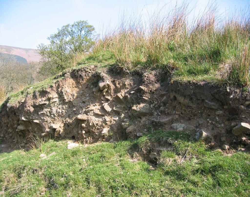 Soil profiles created by excavations or landslip can often reveal the
