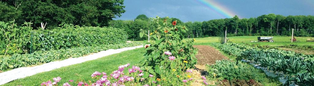 Community Conservation Tips Maine Coast Heritage Trust Aaron Englander Community Gardens Community gardens are sources of fresh, local food which benefit more than gardeners.