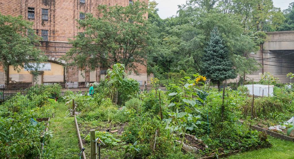 Community Gardens Affiliated with Land Trusts Neighborhood Gardens Trust PA Located in Philadelphia, Pennsylvania, Neighborhood Gardens Trust (NGT) is the city s largest land trust.