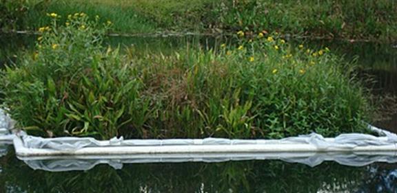 Fountain Dredging Pond Improvements Floating Wetlands Nutrient