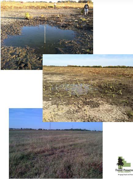 Design Open water area (wet to mesic seeding) Transition area (mesic to dry seeding) Prairie restoration (prairie seed mix) Volume created: 3 acre feet Plantings Open Water