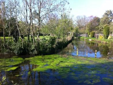 Landscape - Streams Blewbury has a network of streams running through the village.
