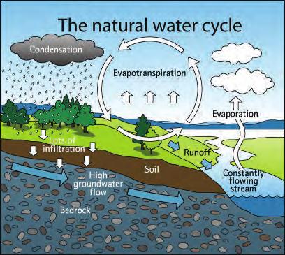 STORMWATER MANAGEMENT FACILITIES/STORMWATER PONDS - What Are They? As land is developed, the natural water cycle is disrupted.