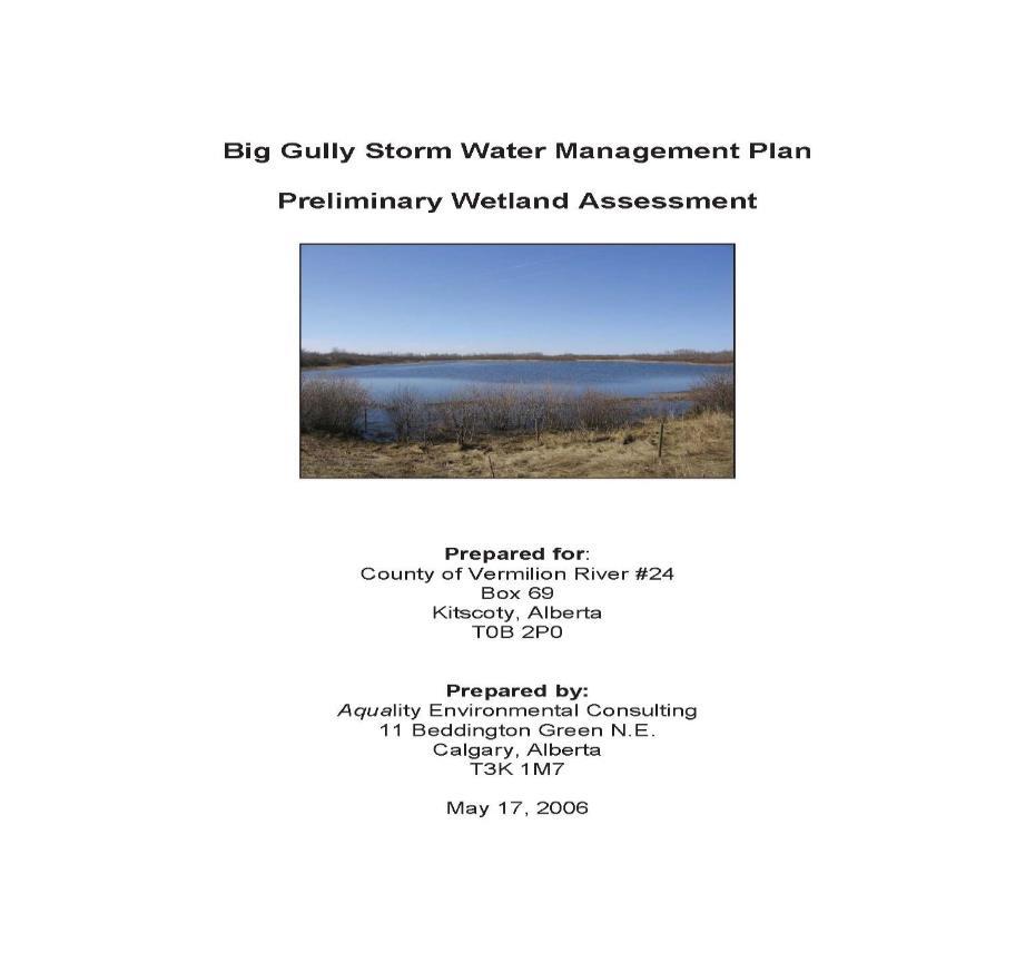 HISTORY May 2006: Big Gully Stormwater Management Plan, Preliminary Wetland
