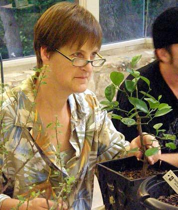 Starting her career in Bonsai in 1983, Kathy Shaner has become Internationally known and Recognized for her excellence in the art of Bonsai.