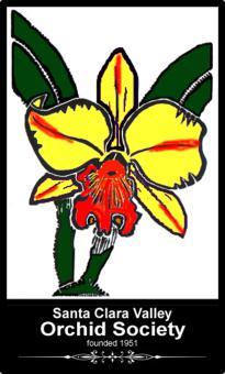 Santa Clara Valley Orchid Society Established 1951 Helping You to Become a Better Grower October 2010 SCVOS Newsletter (please note that links in electronic copies are functional Speaker Notes On