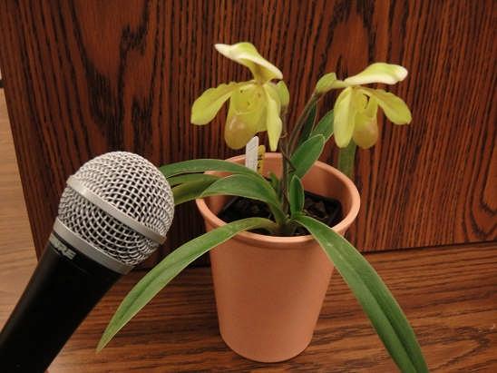 It helps to check out each orchid as you water them. Soon you'll be able to understand "orchid".