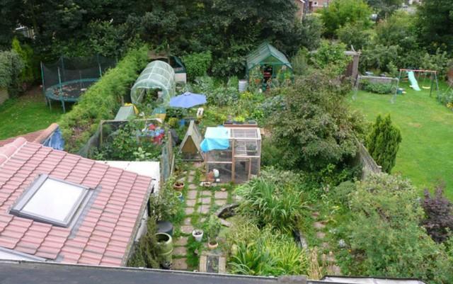 What is Permaculture?