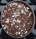 Description Soil is tan to grey in color, trays are extremely light,