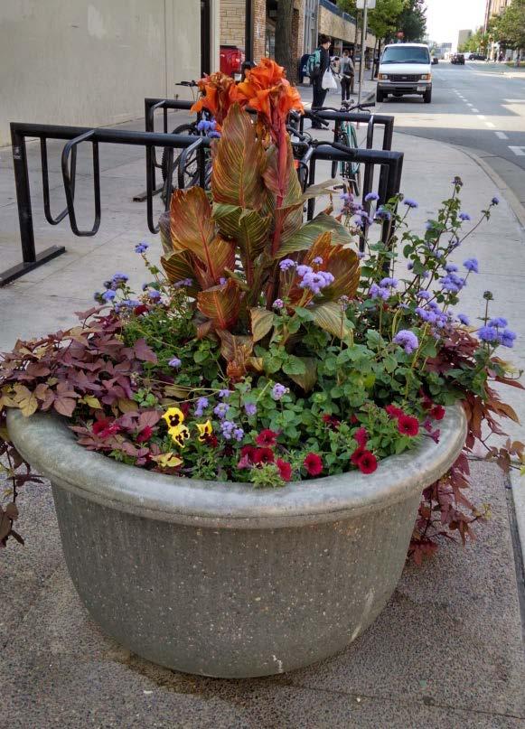 Install flower pots in select locations Install spring and summer displays