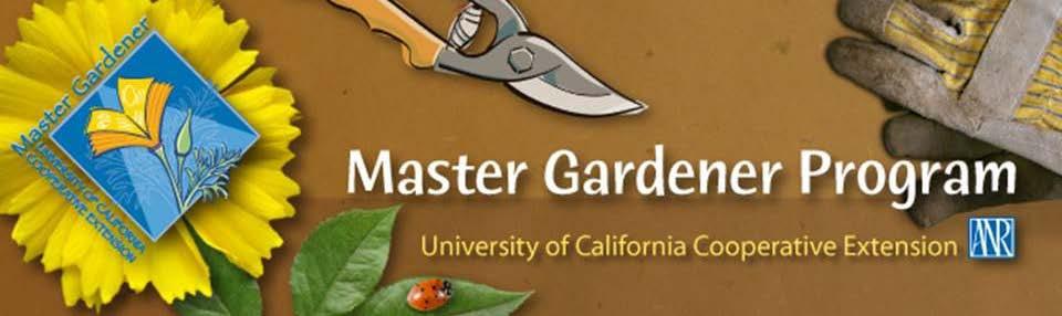 Keeping Landscapes and Garden Plants Alive Under Drought or Water